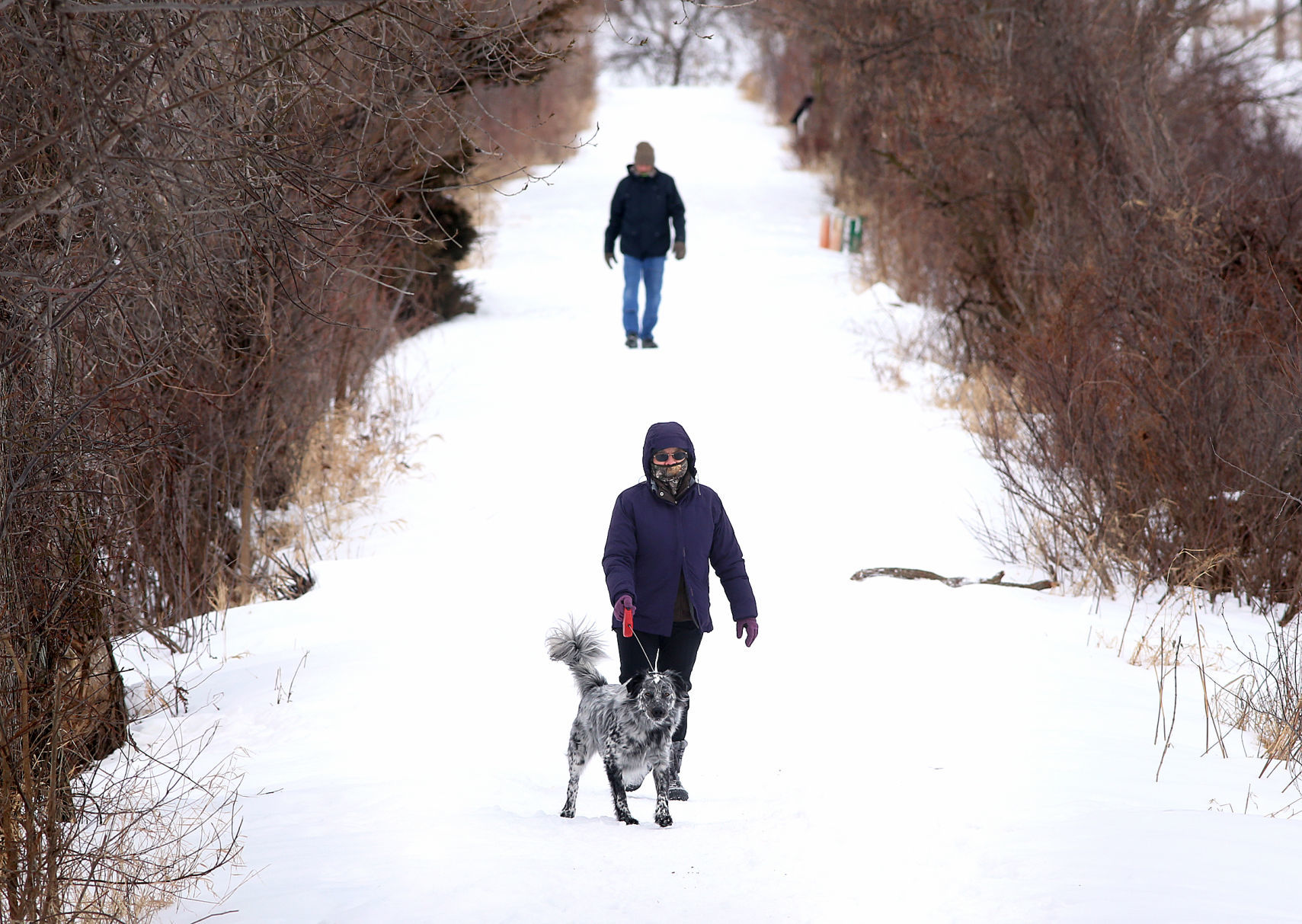 Feb. 28: La Crosse River marsh